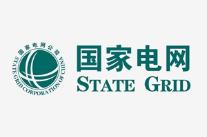 國(guó)家電網(wǎng)